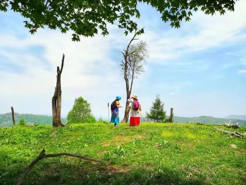 《人与自然》 拍摄者:马建群 在红土崖镇双顶沟的枯树岭,绿意盎然的