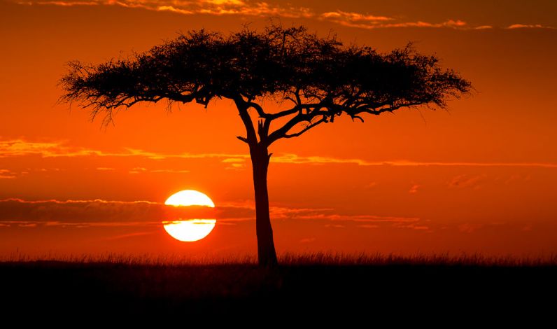 非洲大草原的落日,是海明威笔下的流逝的岁月,是《走出非洲》电影里