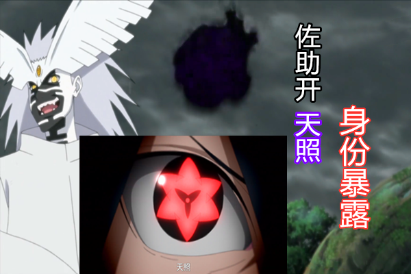 佐助所做的事情,就是释放了天照!