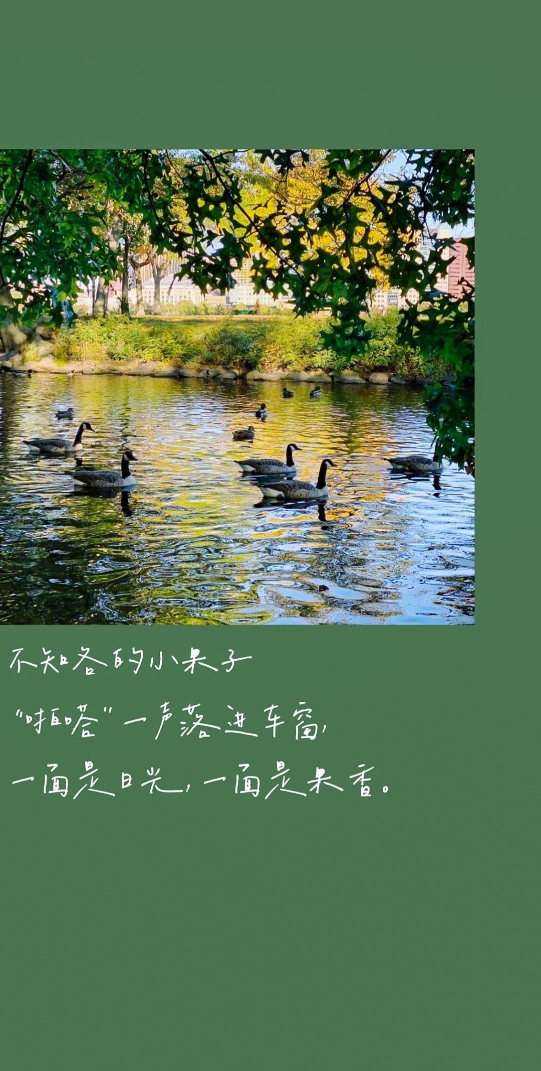 王源拍树引发粉丝思考 难道是让大家多读书?