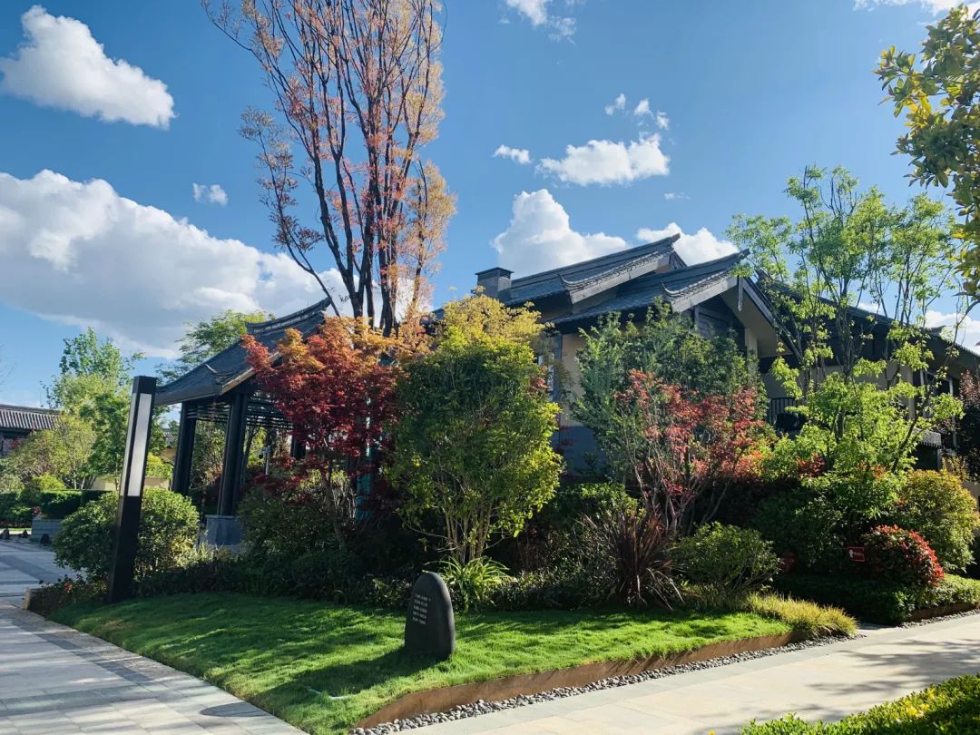 以山月为伴,林木为友,屋外风景,屋内画,还原文人雅士对于山水居住的情