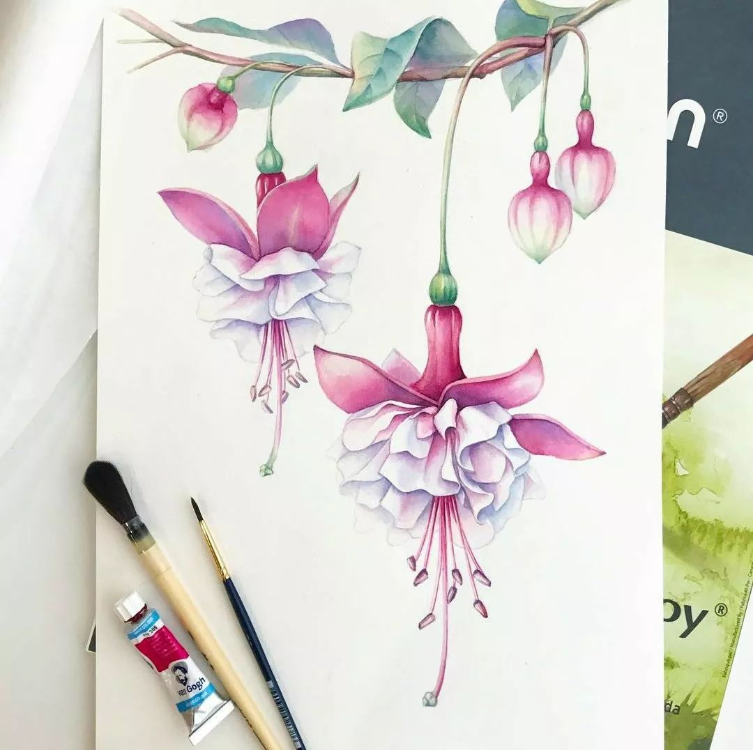 一束水彩花的生活态度