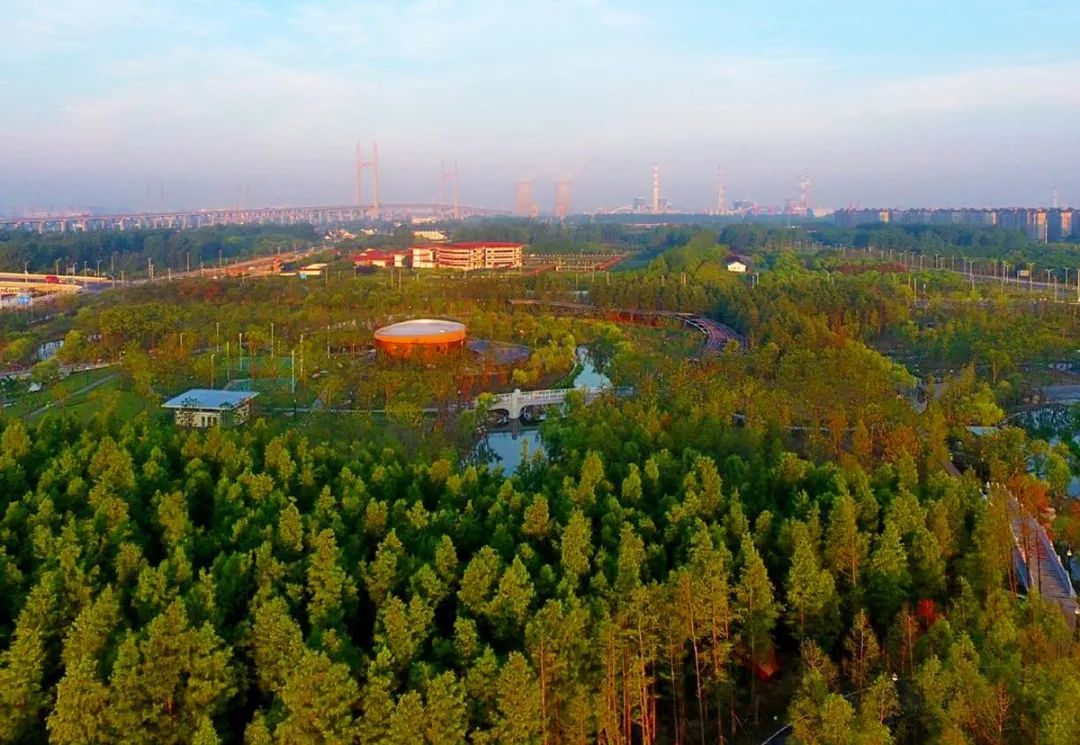 收获季2019年度我院荣膺近40项大奖