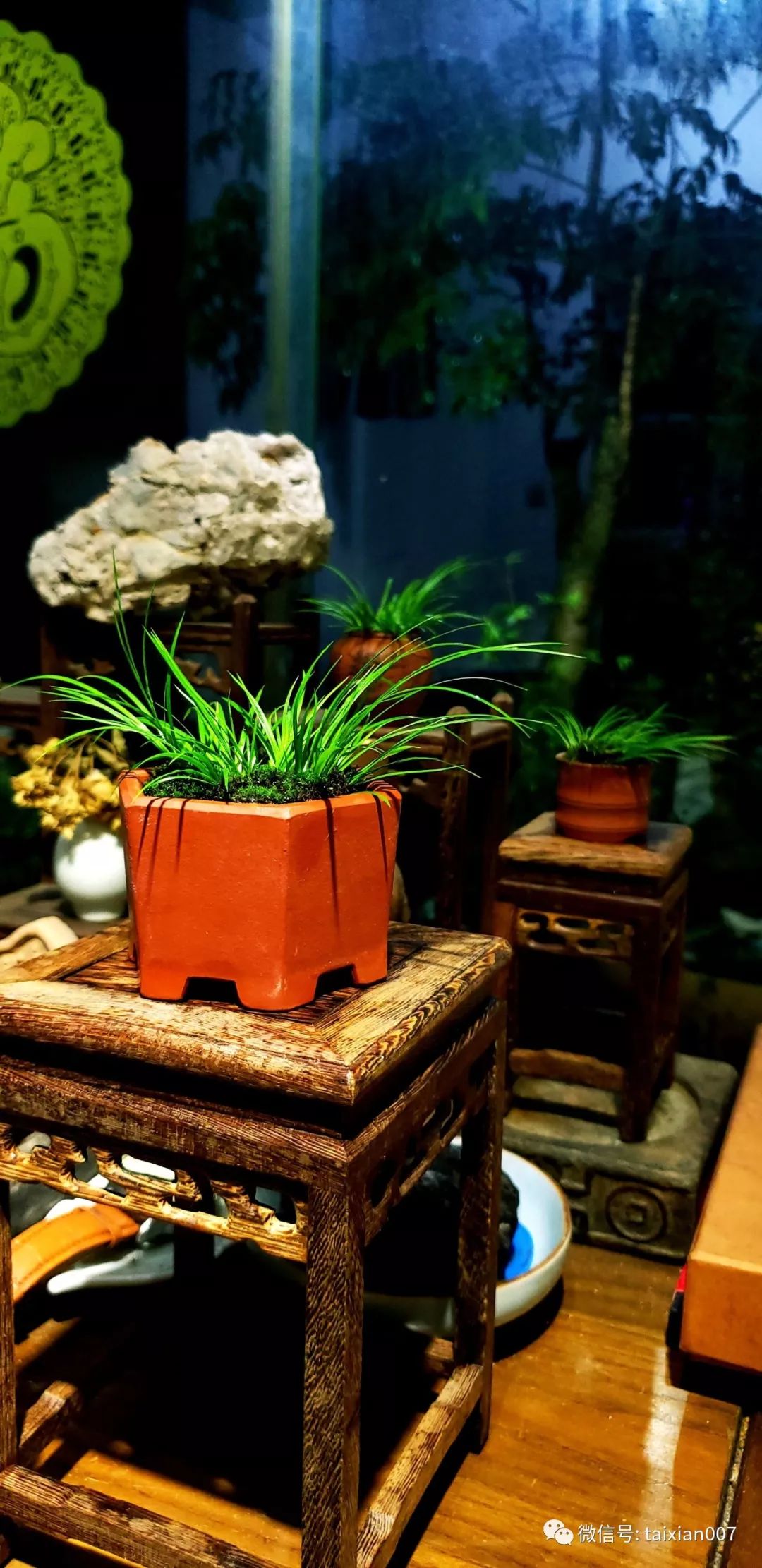 五阁堂菖蒲作品欣赏