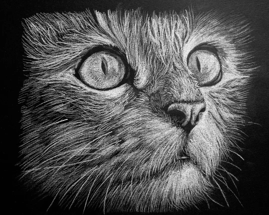 蒙友产品体验蒙玛特a4可撕黑卡本白色炭画铅笔套装