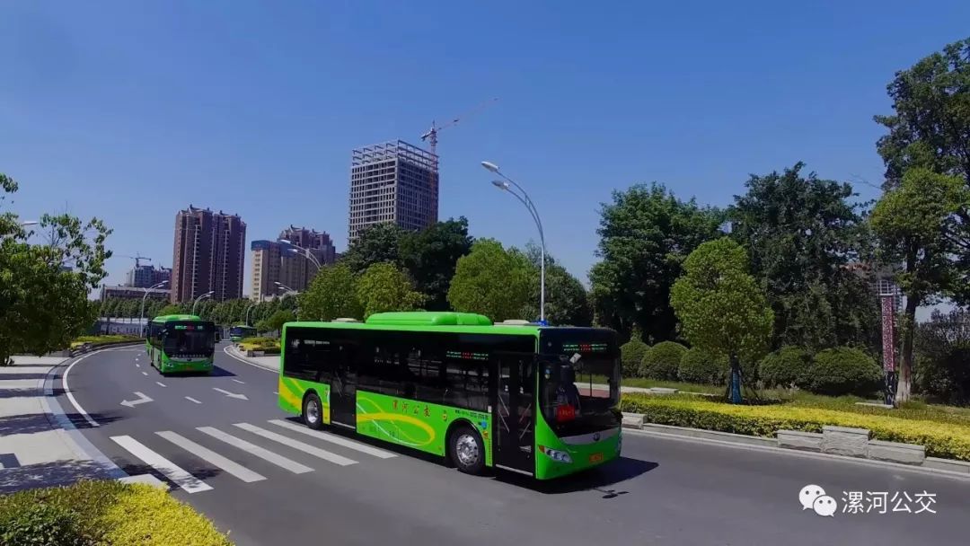 漯河公交101路荣获河南省青年文明号为漯河公交点赞