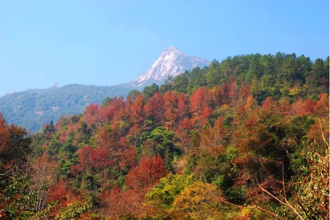 (已成行)12月15日 廣東香格里拉 雲髻山登山 觀無敵雲海 賞楓葉