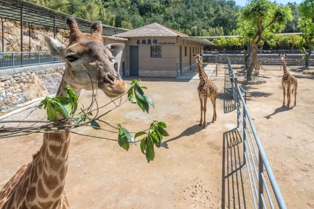 占地5600亩义乌人周末又有一个游玩好去处了就在