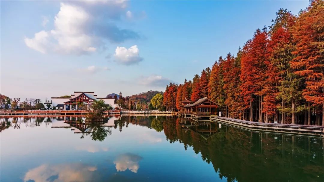 这里藏着马鞍山冬季最艳丽的景色!确定不要来看看吗?_风景
