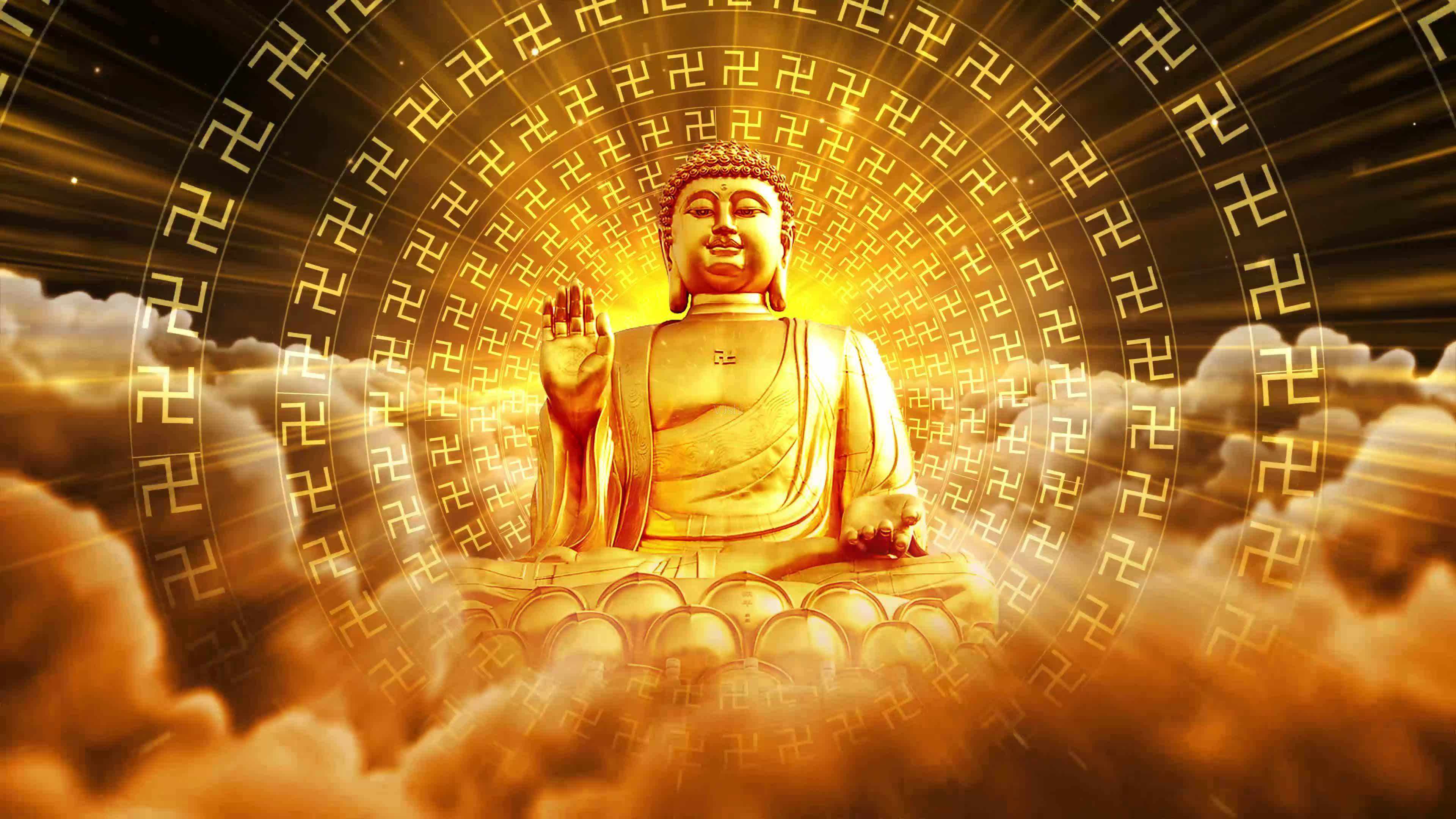 生活有一种颜色叫做追求