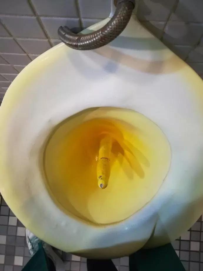 图片[36] - 【xizi被窝段子20191211】当你为错过太阳而哭泣 那你必然也会错过月亮和星星 - xizi