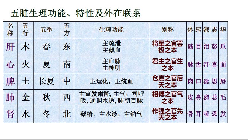 姿华教育事业部中医文化的基本思想——藏象_六腑