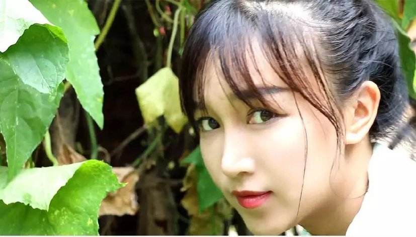 李子柒爆红女人成功的背后是你无法想象的努力