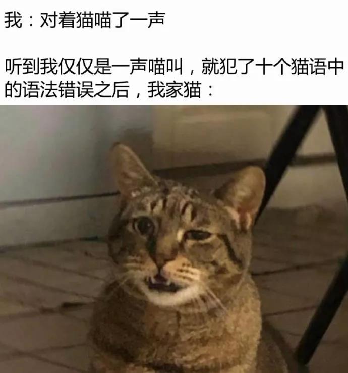 图片[45] - 【xizi被窝段子20191211】当你为错过太阳而哭泣 那你必然也会错过月亮和星星 - xizi