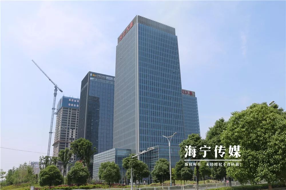 历史首个海宁这家企业从北京领回了一项最高荣誉