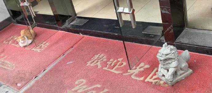 图片[46] - 【xizi被窝段子20191211】当你为错过太阳而哭泣 那你必然也会错过月亮和星星 - xizi