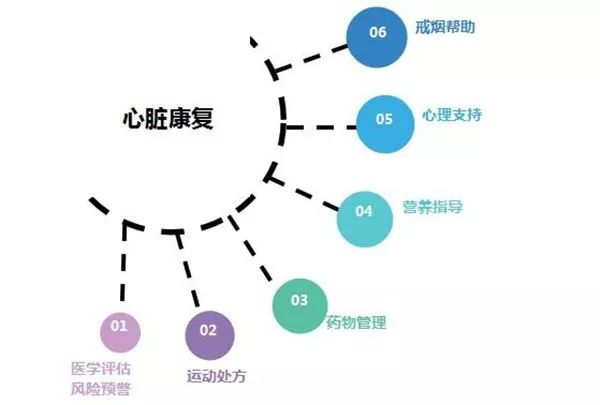 涨知识心脏康复让心脏动起来