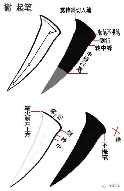 我们再看捺画起笔:捺画的起笔可藏锋可露锋,露锋入笔的时候多,有部分
