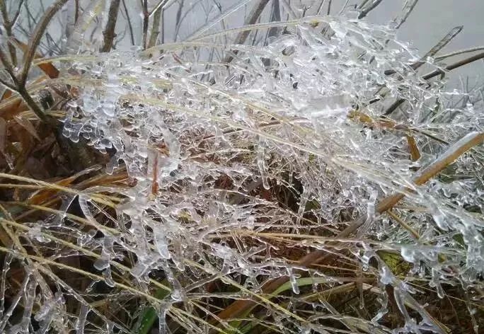 廣西也可以賞雪這8個勝地都能觀賞到雪景哦