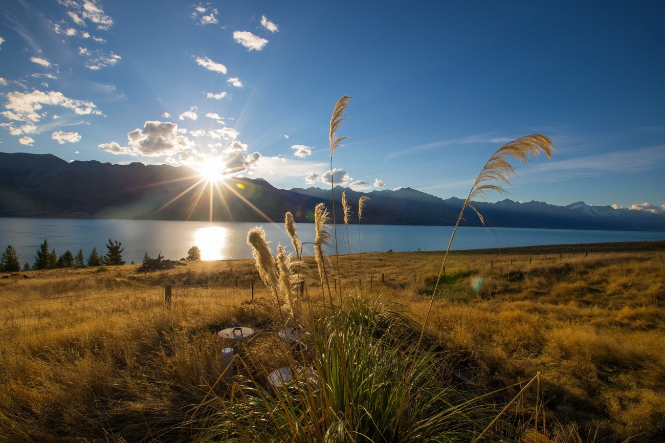 原创新西兰农场民宿体验,风景如世外桃源一般,静谧安然,舒适惬意