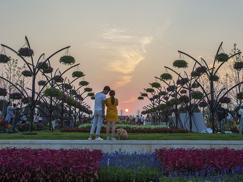 原創一夢三生鬧市花園暖冬撫州三翁花園行紀