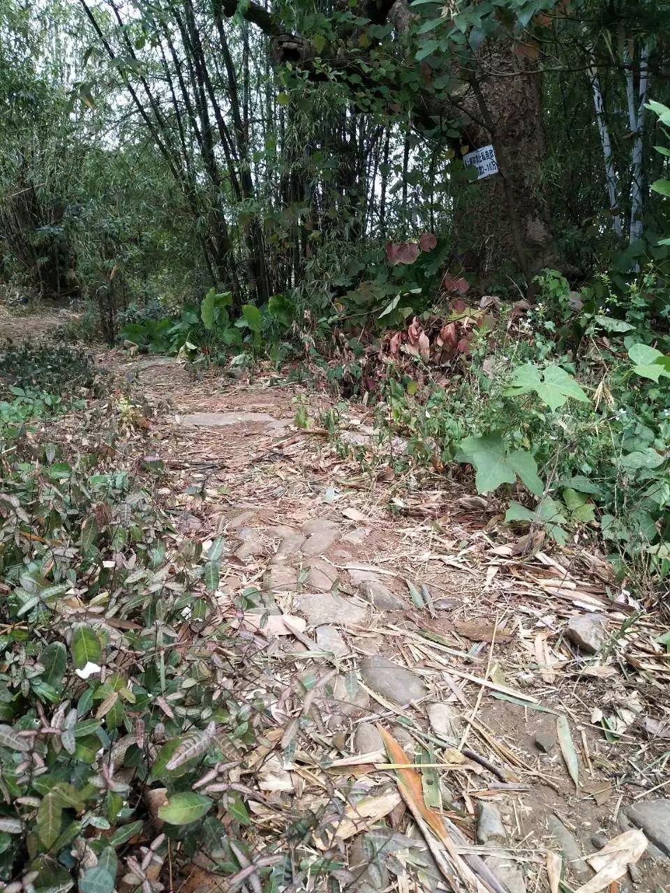 【发现恭城】黄家圳古渡头,一个藏满恭城故事的地方