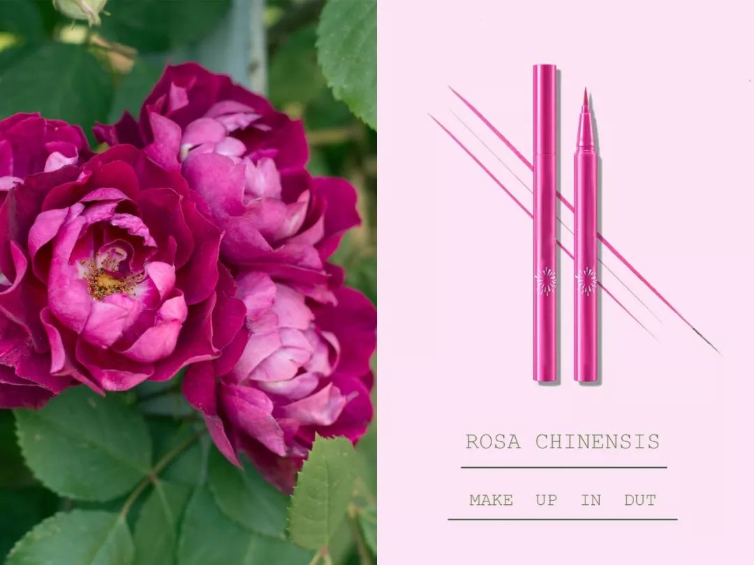 月季·眼线笔层叠涂抹整个秋色珠光闪耀似暖阳哑光陈厚若木叶银杏·二