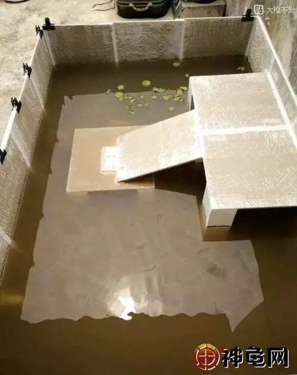 入门级瓷片龟池怎么建造?这里有超详细讲解!_施工