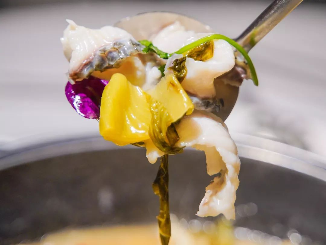 酸菜 脆肉罗非鱼,好吃美味不多余