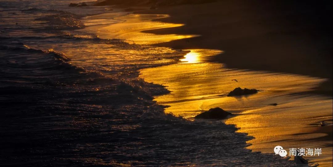 一组超有画面感的照片仿佛能听见海浪的声音