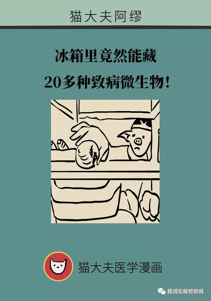 漫画冰箱里竟然能藏20多种致病微生物尤其这几种太吓人了