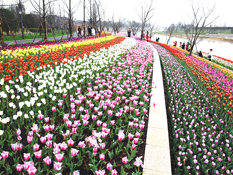 原創一夢三生鬧市花園暖冬撫州三翁花園行紀