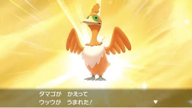 原创古月鸟这只闪光神奇宝贝是山寨版凤王,皮卡丘被它搞得颜面扫地