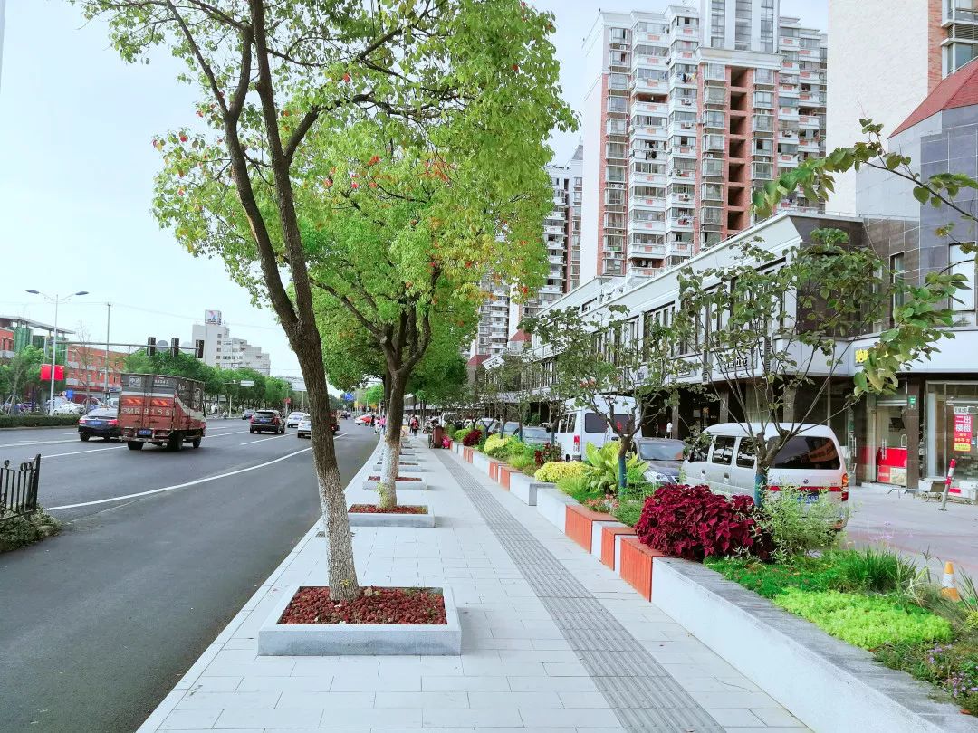 "文明之城·美在奉贤"十大最美系列创评之"最美街区"