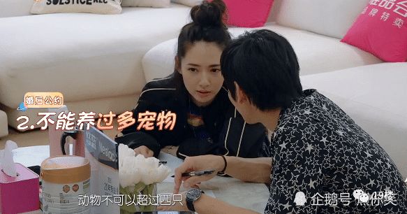 杭州32歲男子因在家裡養了兩隻虎皮鸚鵡，被妻子說成「精神分裂」！網友炸了…… 寵物 第19張