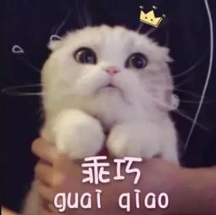 黑头闭口去无踪,这些小秘密我才不告诉别人呢! 黑头闭口去无踪,这些小秘密我才不告诉别人呢!