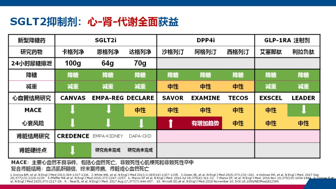 名家解读朱大龙在合适的患者中应用sglt2抑制剂带来最佳结局获益