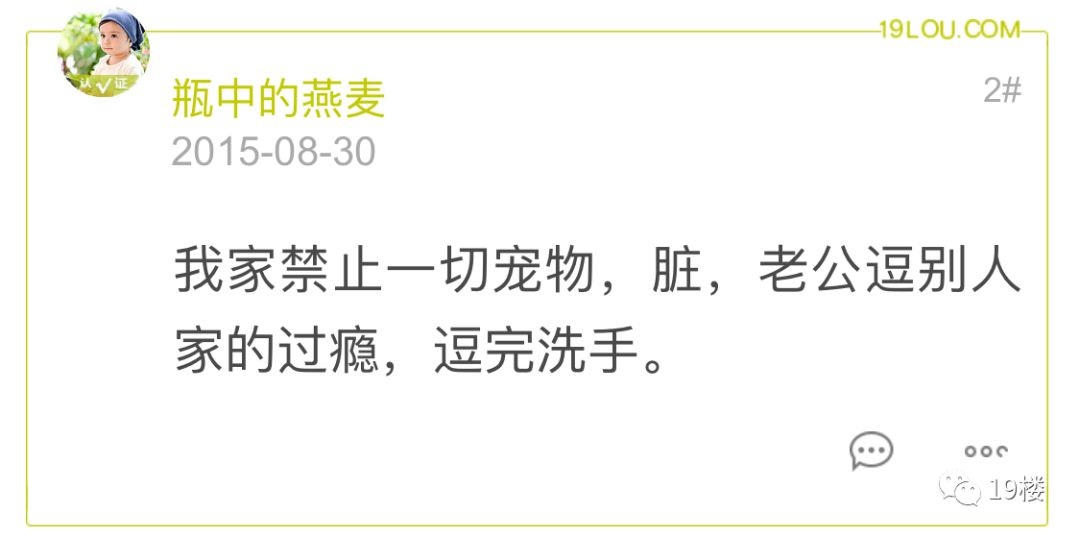 杭州32歲男子因在家裡養了兩隻虎皮鸚鵡，被妻子說成「精神分裂」！網友炸了…… 寵物 第11張