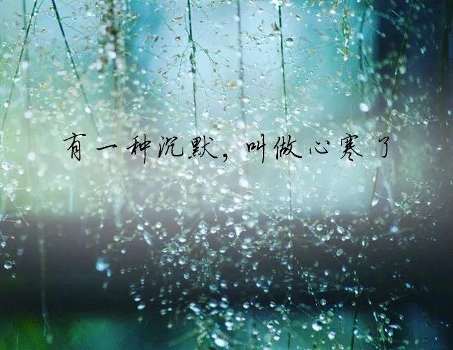 如果可以,我真想毫无保留的去相信一个人,投入所有的感情,不求结果,不