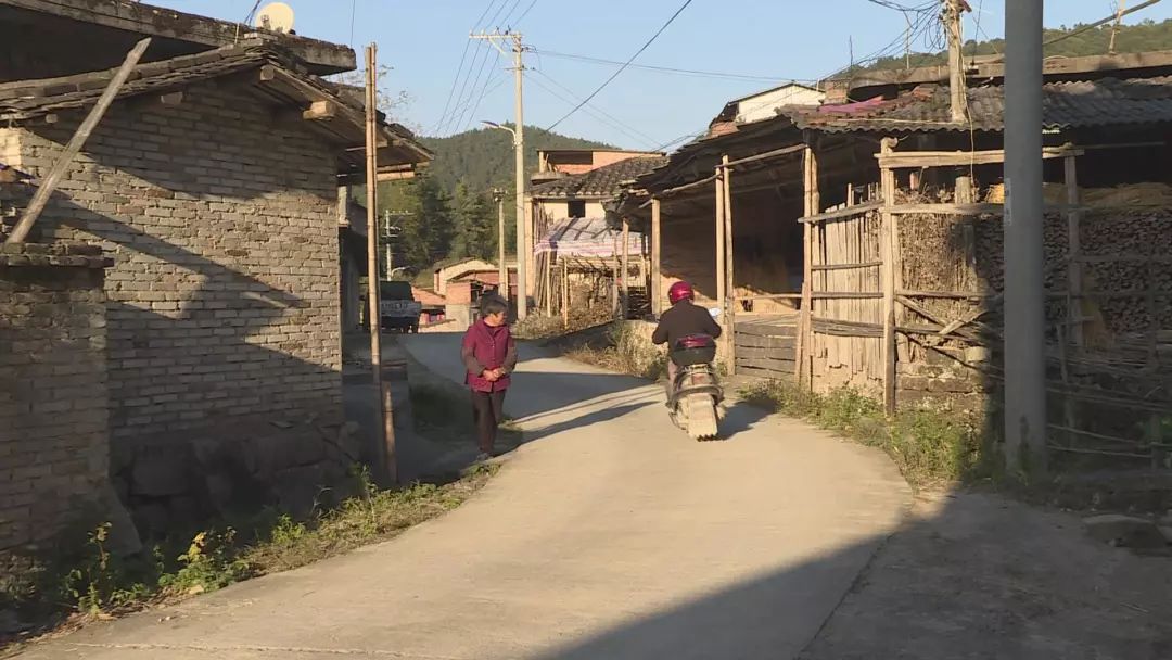 长龙镇建四好农村路筑通村致富路