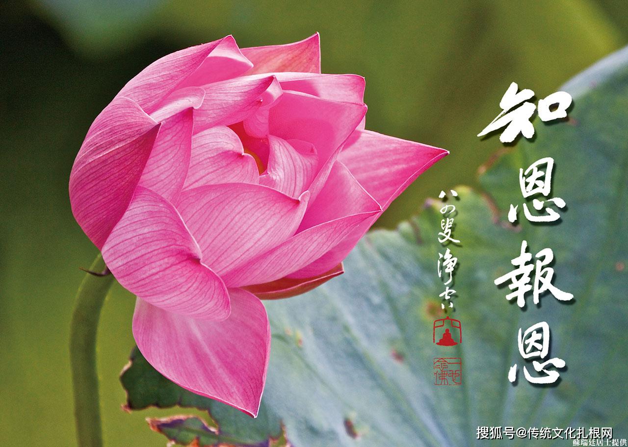 提起对父母的孝顺恭敬心,而不是反而觉得父母亲那份爱是唠叨,烦