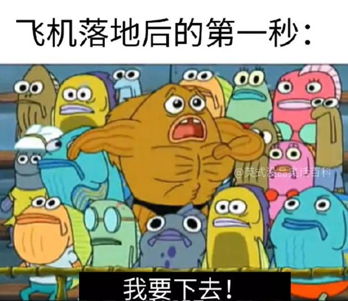 图片[13] - 【xizi被窝段子20191212】生活就是这样 别人只看结果 自己独撑过程 - xizi