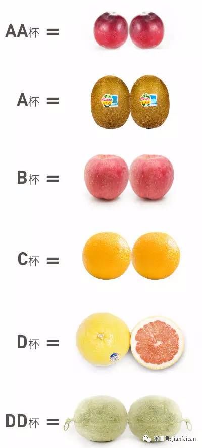 罩杯水果图表对照图片
