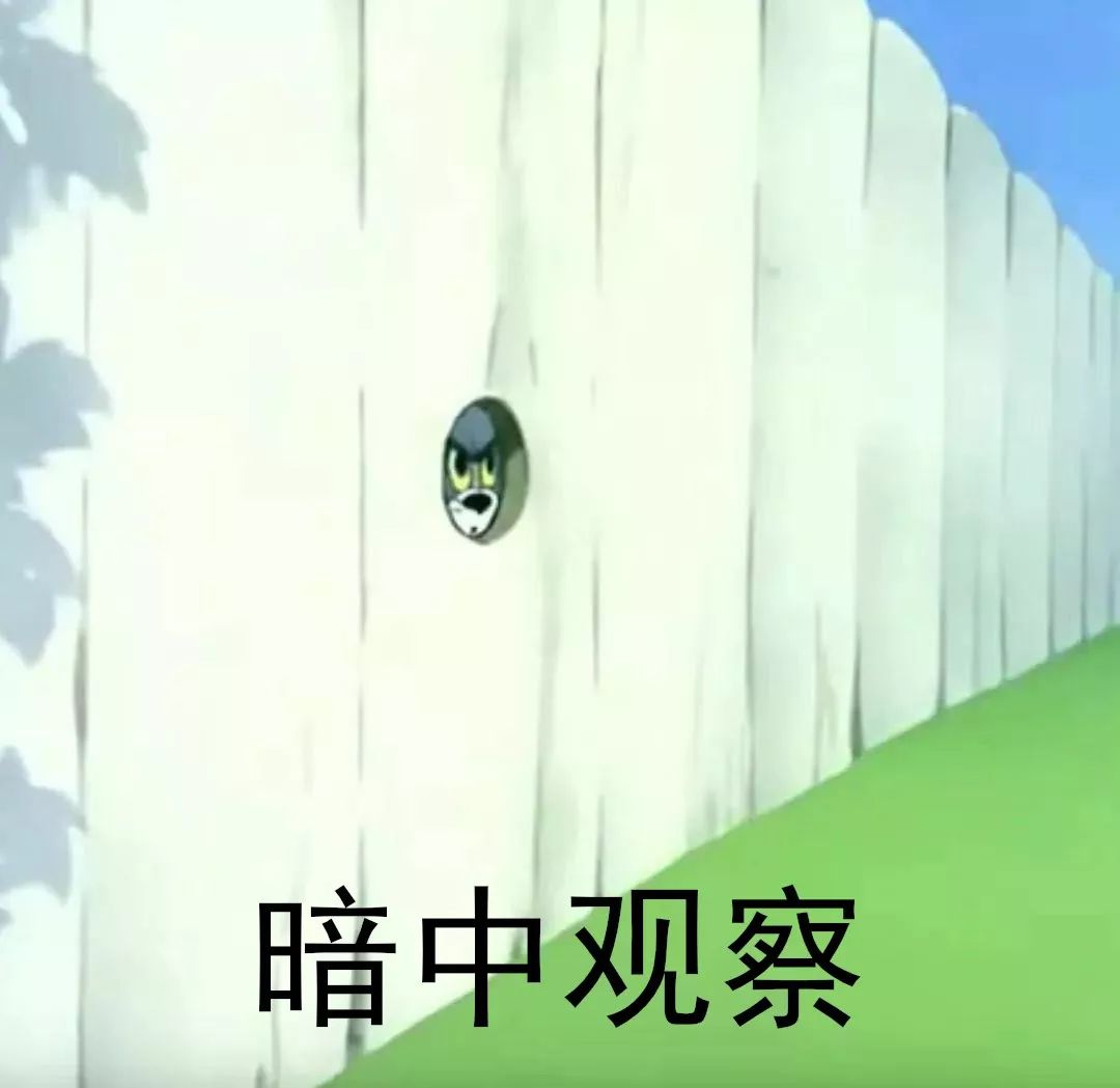 第一批90后还有两周就30岁了这才发现猫和老鼠里净是扎心的表情包
