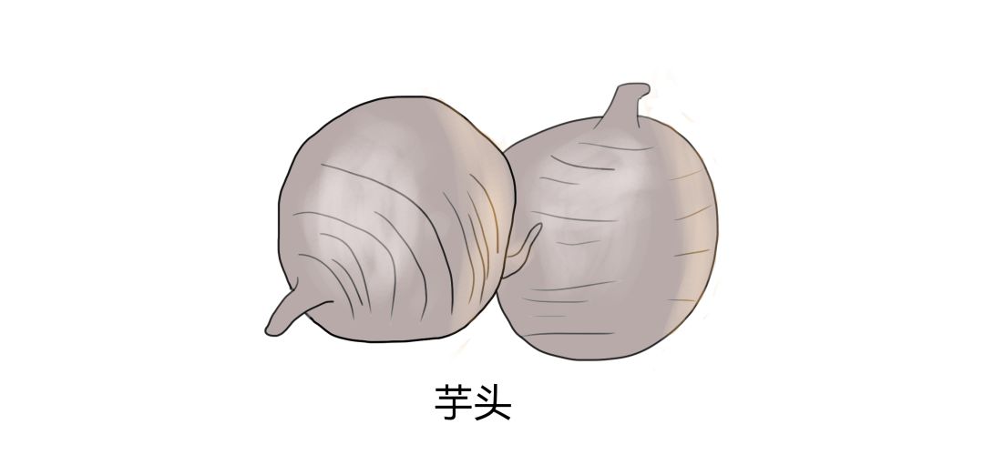 芋头富含营养又可爱,当然是选择吃掉它