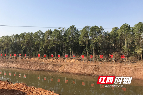 衡南县向阳街道拒绝脏乱差还杨柳河清清