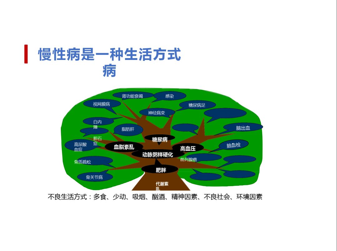 預防慢性病,從現在做起_莊玉妹