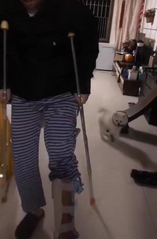 原创狗见到男主人瘸腿后有骨头吃,接下来的动作令人笑喷,网友:戏精