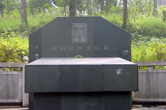 原创满门忠烈杀了夏明翰还有后来人第二天他的弟弟也牺牲了