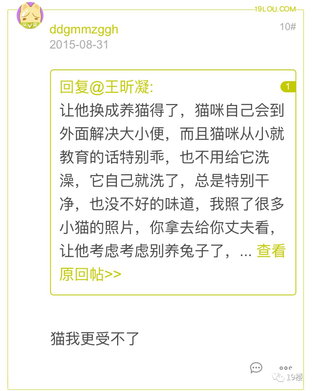 杭州32歲男子因在家裡養了兩隻虎皮鸚鵡，被妻子說成「精神分裂」！網友炸了…… 寵物 第13張